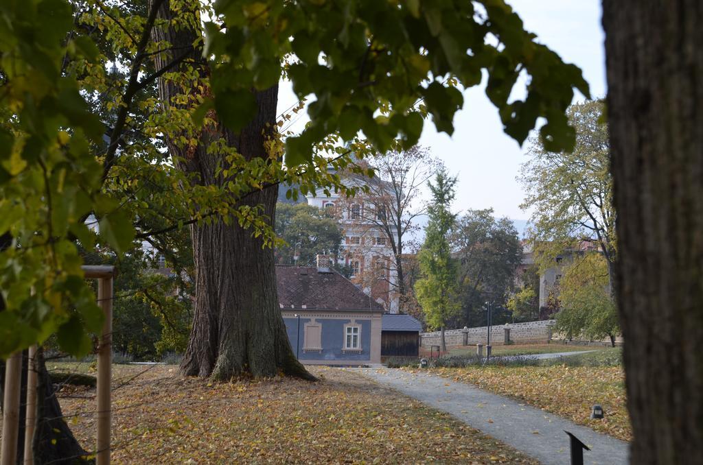 Vila Katerina Броумов Экстерьер фото